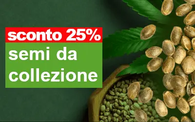 semi collezione scontati del 30%