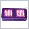 Led Cultilite 150w