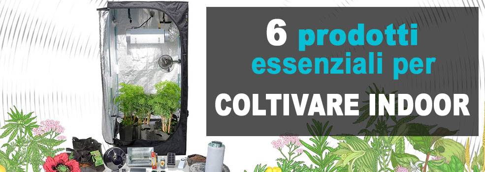 6 prodotti per coltivazione indoor