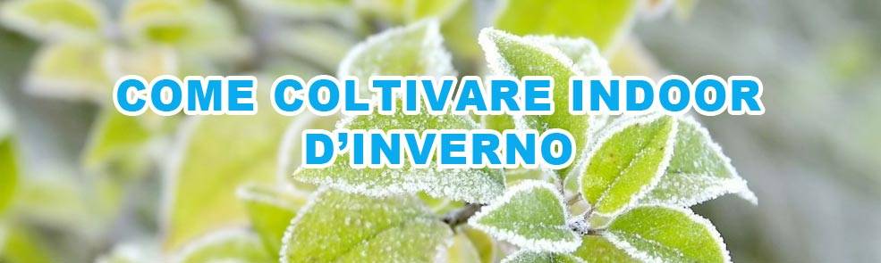 Coltivare indoor al freddo