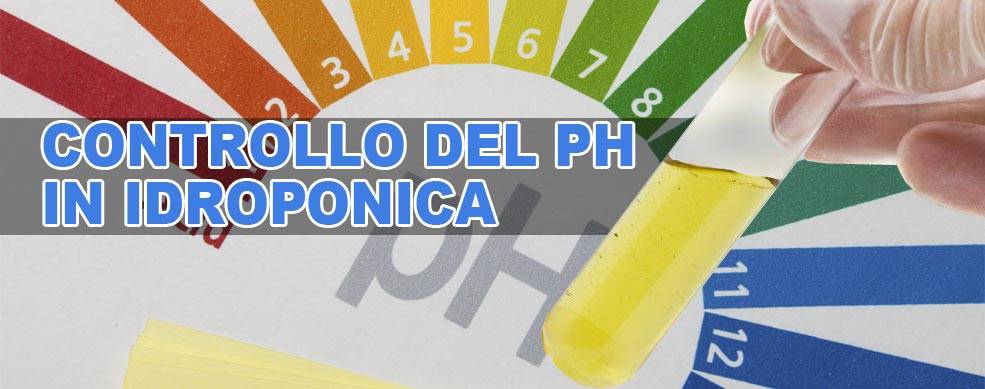 Controllo del ph nella coltivazione idroponica