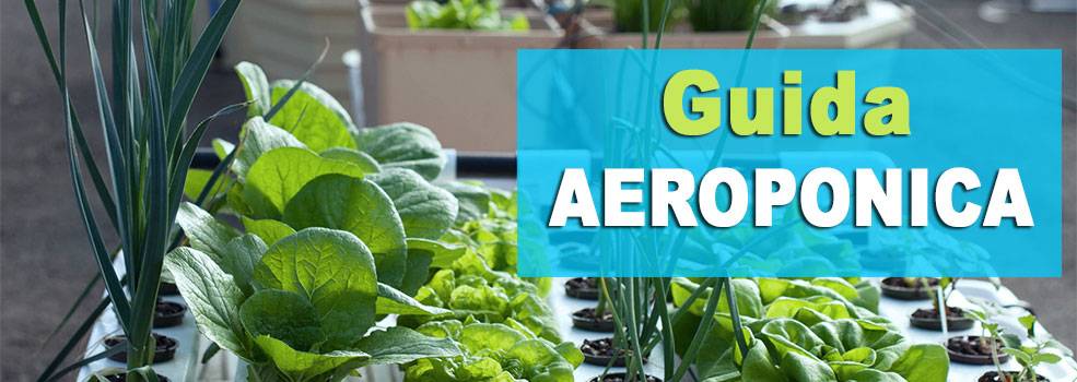 Guida coltivazione aeroponica