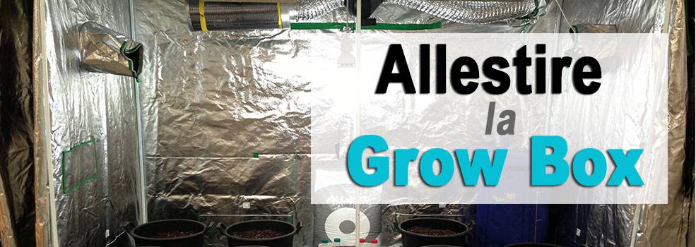 Come allestire una Grow Box