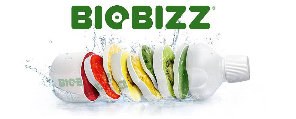 Biobizz