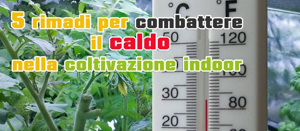 Coltivazione Indoor in Estate