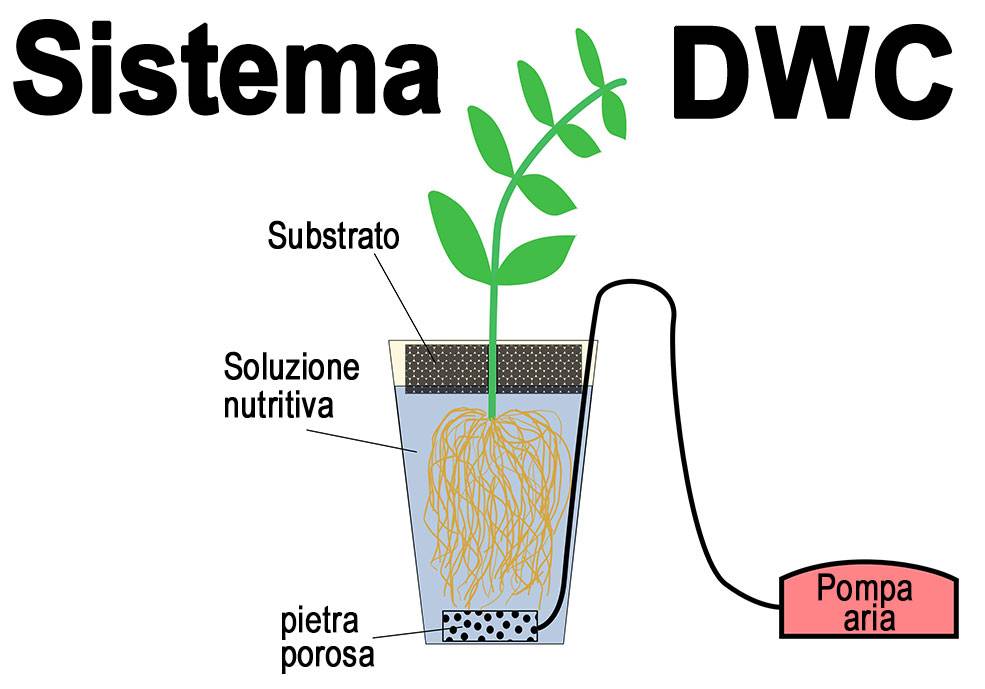 Sistema DWC in dettaglio