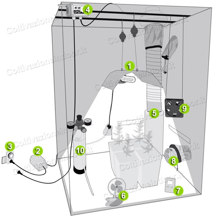 Allestimento Growbox