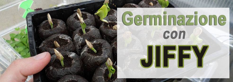 Germinare indoor con dischetti Jiffy