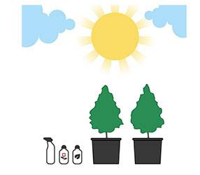 kit coltivazione outdoor