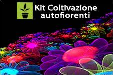 Kit Coltivazione per Autofiorenti