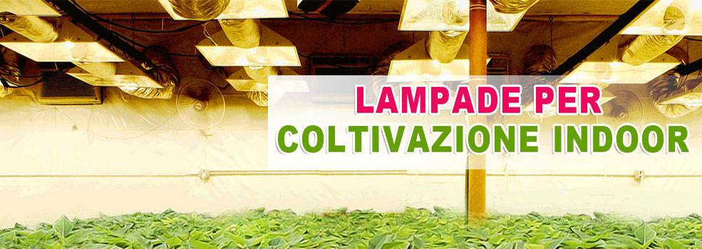 Lampade Coltivazione Indoor