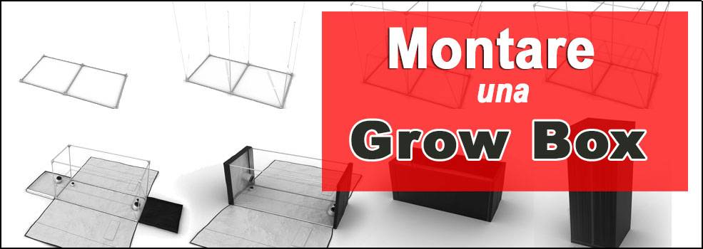 Come montare una grow box