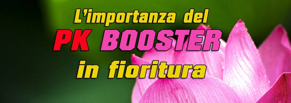 Fertilizzante PH Booster in coltivazioni indoor