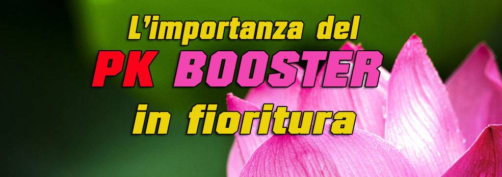 Benefici del PK Booster in fioritura