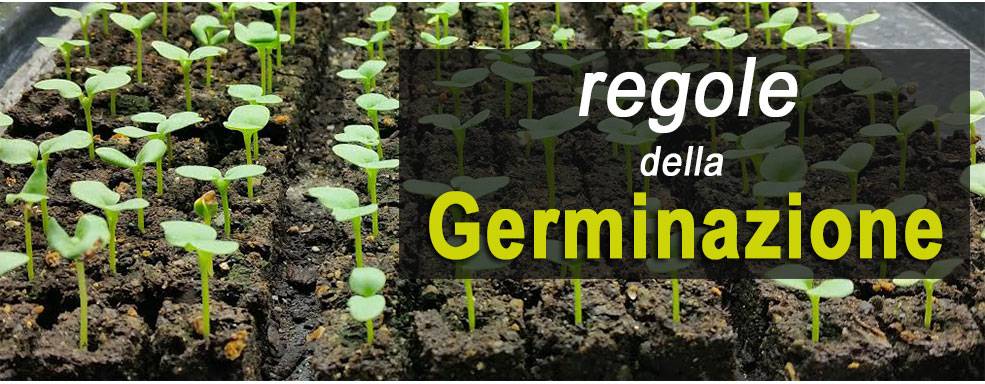 Regole della germinazione indoor