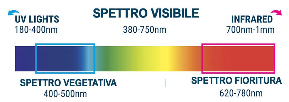 Tabella spettro luce per piante