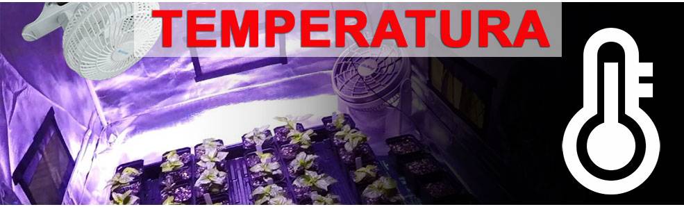 Temperatura Grow Room