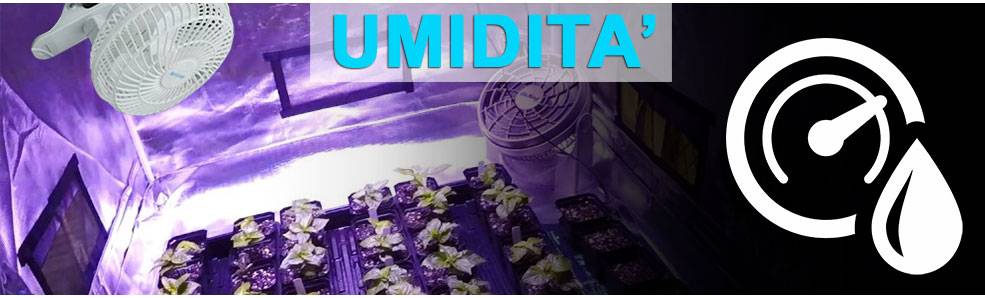 Umidità nella grow room