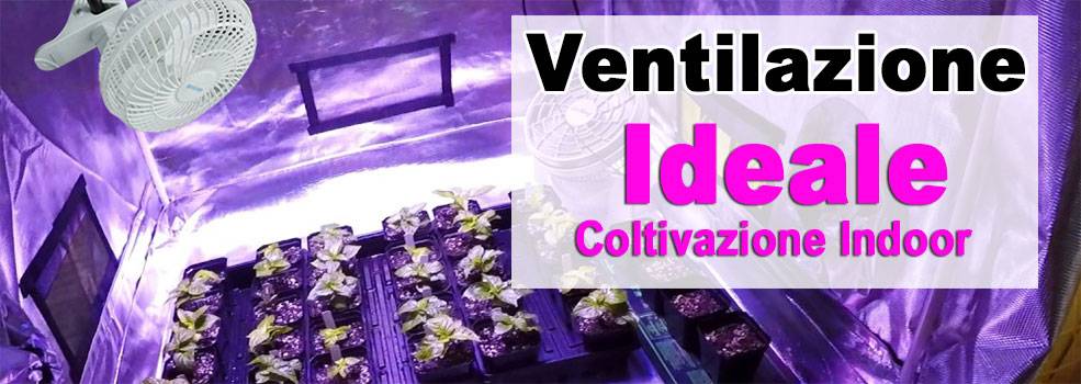 Ventilazione ideale grow box