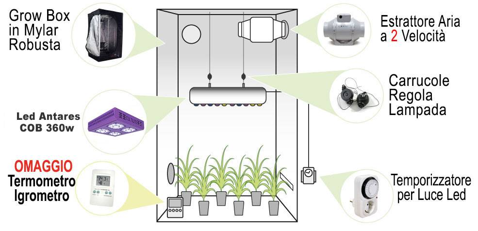 Grow Box Allestita LED Anaters 240w