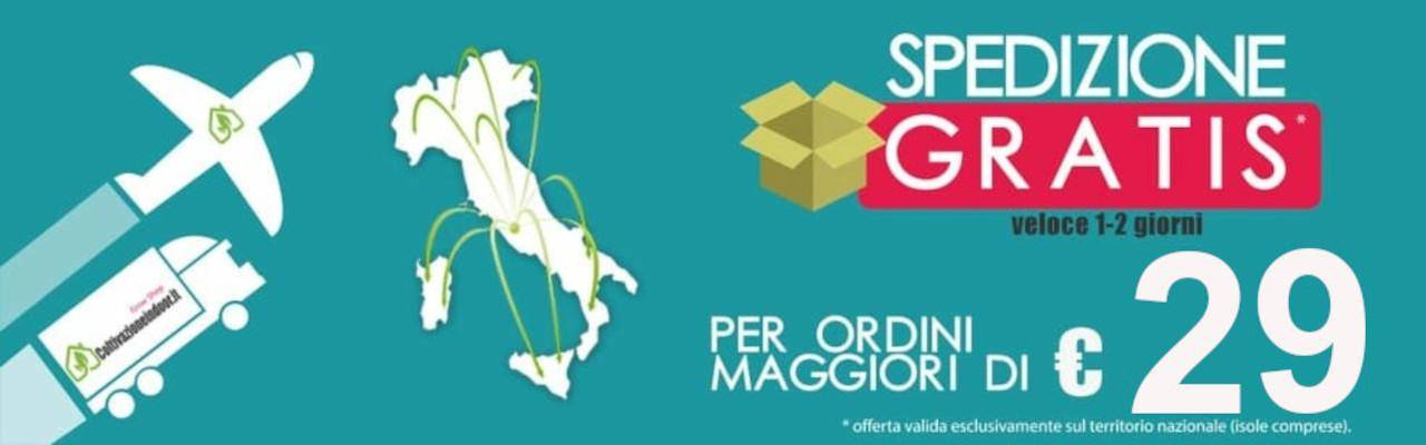 spedizione gratis