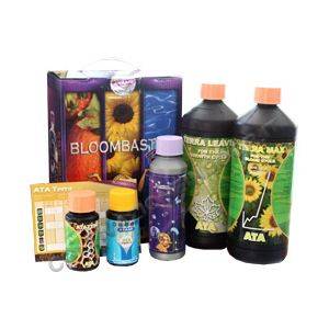 Super Pack ATA TERRA Bloombastic Box