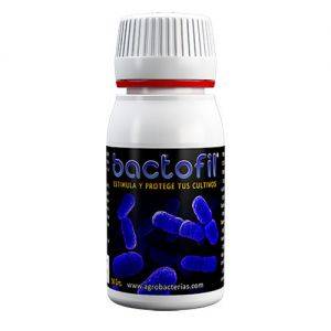 Agrobacterias - BactoFil 50gr
