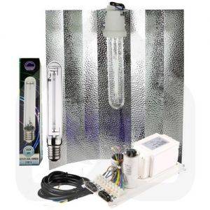 kit Luce Lampada HPS Dual Express 250W - Ciclo Completo