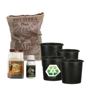 Outdoor - Kit Autofiorenti Biologico 4 piante 