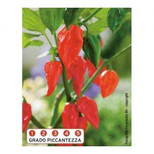 Naga Morich F1 - Semi Peperoncino