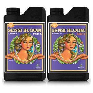 Sensi Bloom A+B 2x5L