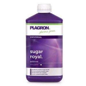 Sugar Royal Plagron - 250ml