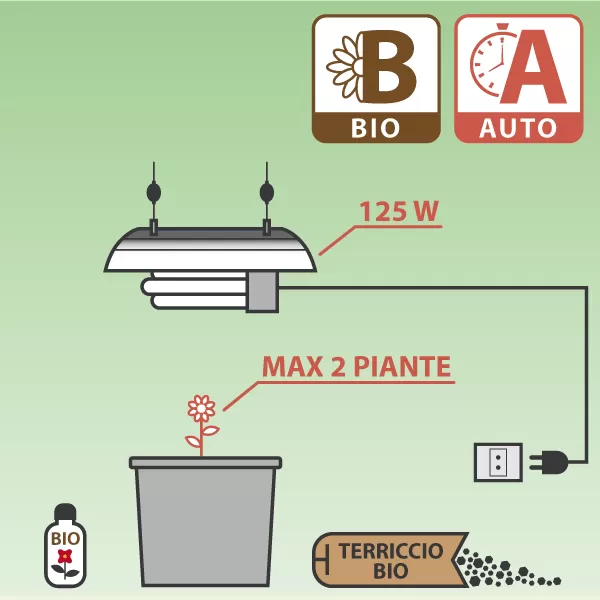Kit Coltivazione Autofiorenti CFL 125W
