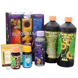 Super Pack ATA TERRA Bloombastic Box