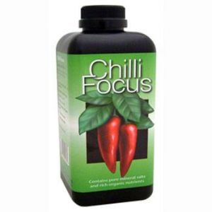 Chilli Focus 0,5lt  -  Peperoncino