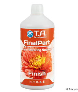 Final Part FINISH (ex Ripen) Ghe 1L