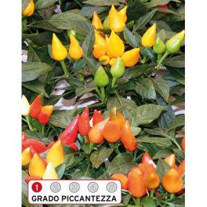 Fuoco della Prateria - Semi Peperoncino