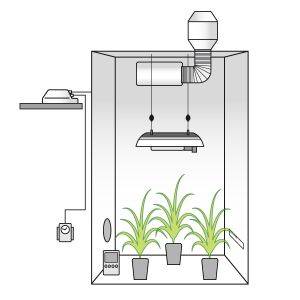 Grow Box Completa 250W AGRO ad Alta Resa + OMAGGIO!