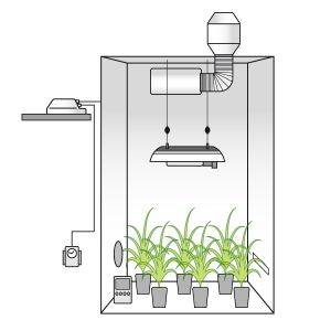 Grow Box Completa 400W AGRO ad Alta Resa + OMAGGIO!