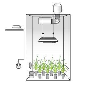 Grow Box Completa 600W AGRO ad Alta Resa  + OMAGGIO!