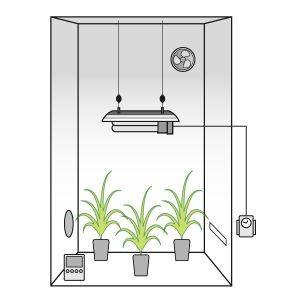 Grow Box Allestita CFL 250W AGRO Basso Consumo  + OMAGGIO!