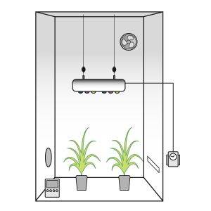 Grow Box Allestita LED ANTARES 180w