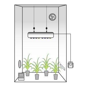 Grow Box Allestita LED ATTIS 200w PRO