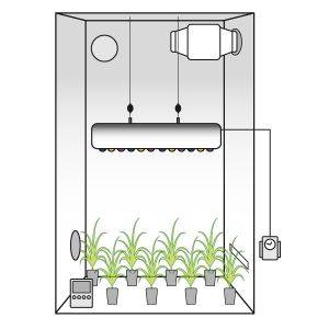 Grow Box Allestita LED Antares 360w