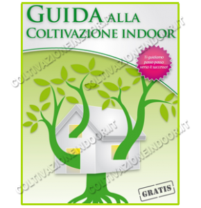 GRATIS - Guida Coltivazione Indoor Pdf + Buono Sconto Incluso