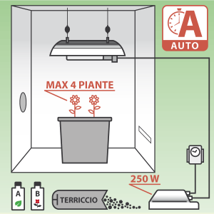 Kit per Semi Autofiorenti 250W + Grow Box - Max. 4 piante + OMAGGIO!