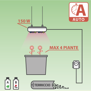 Kit Coltivazione Autofiorenti LED Cultilite 150W -  2 Piante Alta Resa