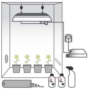 Kit Coltivazione Terra 250W con Grow Box + OMAGGIO! (Max. 4 piante)