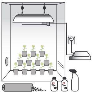 Kit Coltivazione Terra 600W con Grow Box + OMAGGIO! (Max. 12 piante)