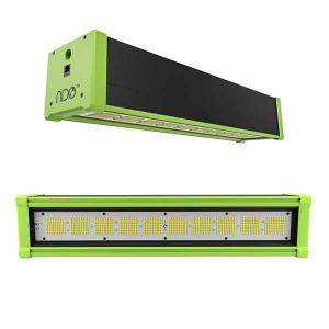 Led Felix 200W Nido Pro